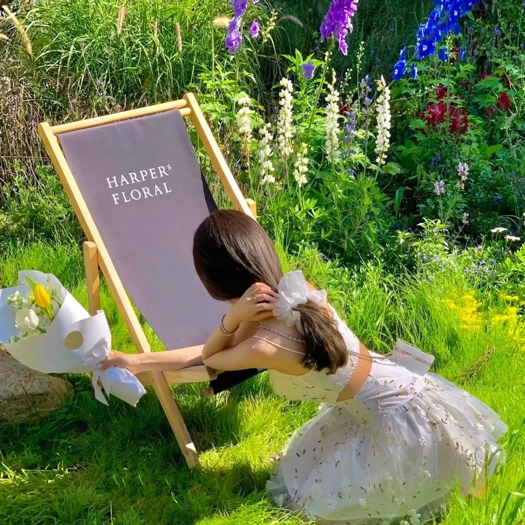 少林英雄之方世玉洪熙官